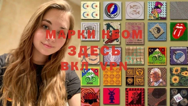 ПСИЛОЦИБИНОВЫЕ ГРИБЫ Бородино