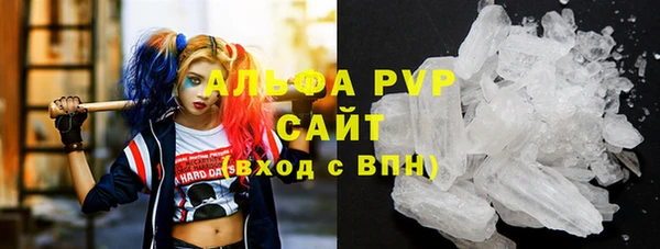 ПСИЛОЦИБИНОВЫЕ ГРИБЫ Бородино