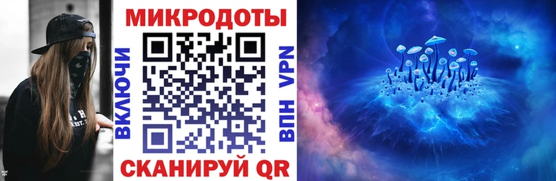 Галлюциногенные грибы мицелий  где можно купить   Ярославль 