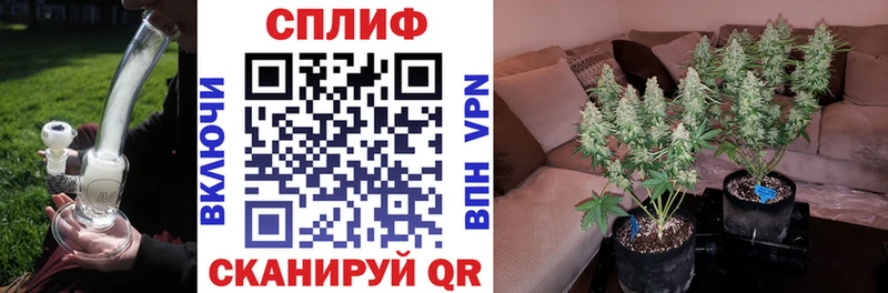 Шишки марихуана VHQ hydra ссылка Ярославль купить закладку